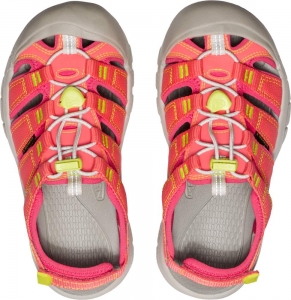 Dětské sandály Keen Newport boundless youth dubarry/evening primrose