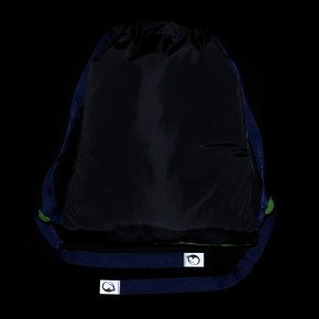 Bagmaster SÁČEK LUMI 25 C školní na přezůvky / tělocvik – dinosaurus
