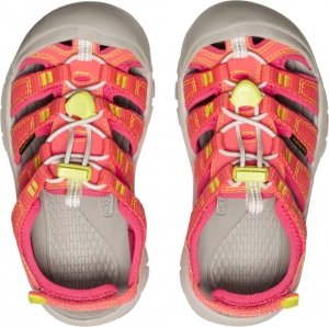 Dětské sandály Keen NEWPORT BOUNDLESS CHILDREN dubarry/evening primrose