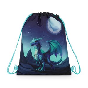 Sportovní vak (gymsack) Topgal RAMY 26056